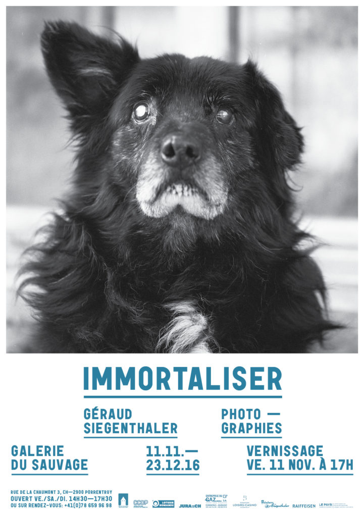 Immortaliser Flyer Chien: Géraud Siegenthaler Exposition à la Galerie du Sauvage de Porrentruy novembre, décembre 2016