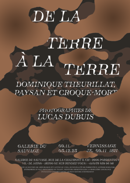 De la terre à la terre exposition de Lucas Dubuis à la Galerie du Sauvage